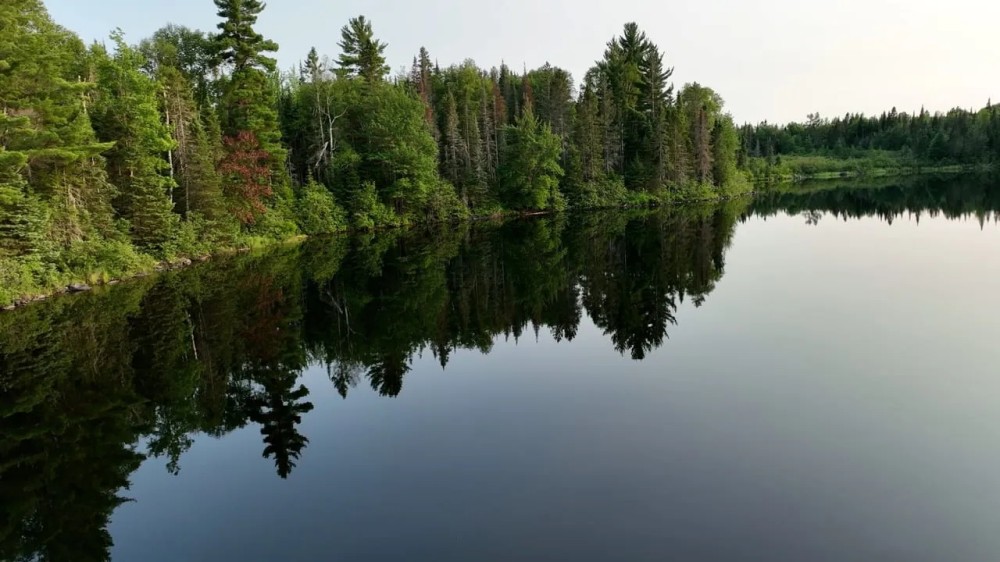 40 Michigan Private Lake Lot 50109735 featured image