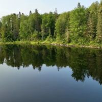 40 Michigan Private Lake Lot 50109735 images 2
