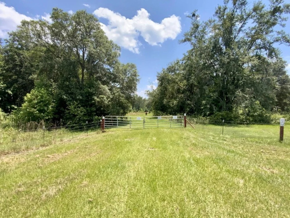 24 Acres Jim Clark Rd featured image