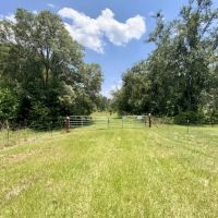 24 Acres Jim Clark Rd