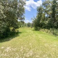 24 Acres Jim Clark Rd images 2