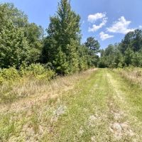24 Acres Jim Clark Rd images 3