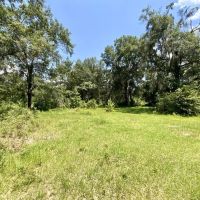 24 Acres Jim Clark Rd images 4
