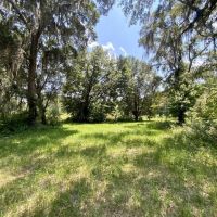 24 Acres Jim Clark Rd images 5