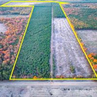 383 Acres FM 2120 Kiskadee