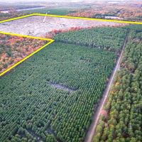 383 Acres FM 2120 Kiskadee images 2