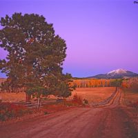 Beaver Mesa Livestock Elk Ranch images 3