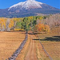 Beaver Mesa Livestock Elk Ranch images 4