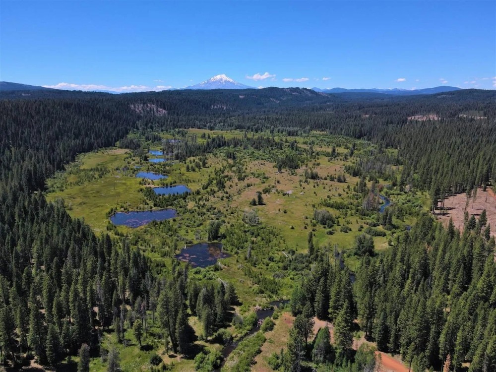 Bear Flat Meadows featured image