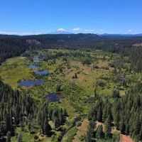 Bear Flat Meadows