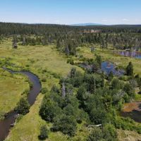 Bear Flat Meadows images 2