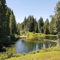 Bear Flat Meadows images 3