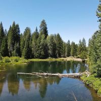 Bear Flat Meadows images 4
