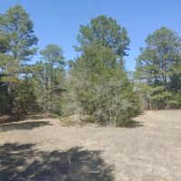 Recreational Honey Hole on Tram Road Choctaw County OK 64.86 AC