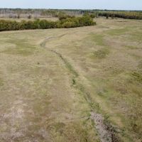 Hopkins County 44 Acres images 3