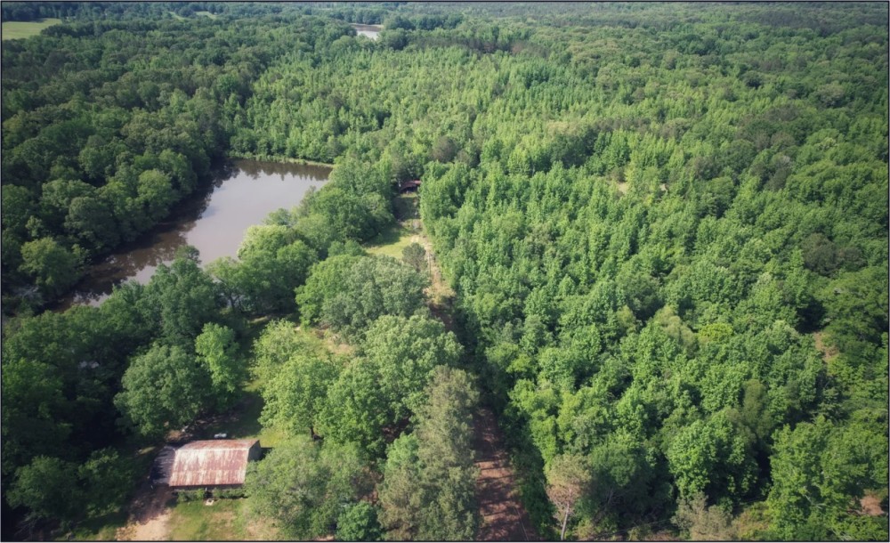 45 Acres With a Hunting Camp in Carroll County in Carrollton MS featured image