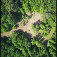 45 Acres With a Hunting Camp in Carroll County in Carrollton MS images 4