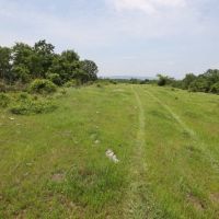 Smithville Tract 2—1 Acre More Or Less images 2