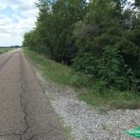 20.05 ac - Duck Hunting Crawfish Tract images 5