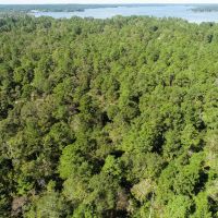 146 Acres FM 355 images 3
