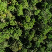 146 Acres FM 355 images 4