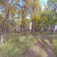 Madison Bend Ranch images 4