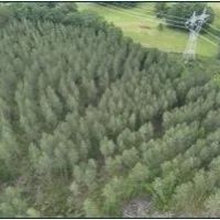 47.6 Acres in Attala County in Sallis MS images 2