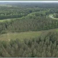 47.6 Acres in Attala County in Sallis MS images 3