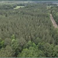 47.6 Acres in Attala County in Sallis MS images 4