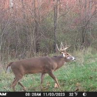 247 - ACRES ANDREWS IN HUNTINGTON COUNTY TILLABLE RECREATIONAL LAND FOR SALE images 2