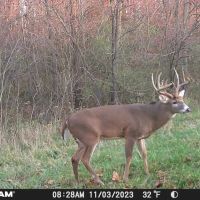 247 - ACRES ANDREWS IN HUNTINGTON COUNTY TILLABLE RECREATIONAL LAND FOR SALE images 3