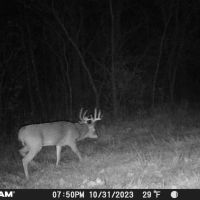 247 - ACRES ANDREWS IN HUNTINGTON COUNTY TILLABLE RECREATIONAL LAND FOR SALE images 4