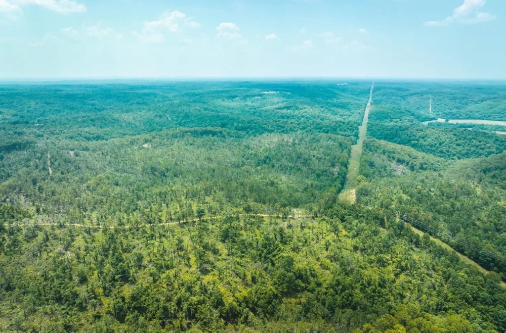 Dripping Spring Hollow featured image