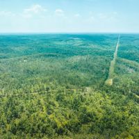 Dripping Spring Hollow images 1
