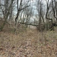 Heyer Rd. Somerset County - 59 acres images 2