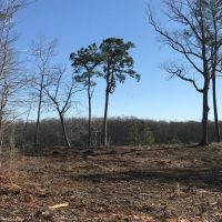 MARKET BASED PRICE IMPROVEMENT .72 acre Waterfront Building Lot For Sale on the Chowan River in Riversedge Subdivision images 3