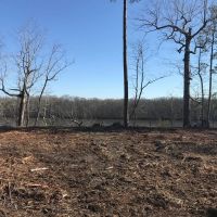 MARKET BASED PRICE IMPROVEMENT .72 acre Waterfront Building Lot For Sale on the Chowan River in Riversedge Subdivision images 4