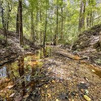 220 Acres of Great Hunting and Timber property in Autauga County
