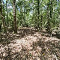 220 Acres of Great Hunting and Timber property in Autauga County images 2