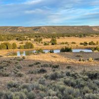 A Lazy A Ranch images 3