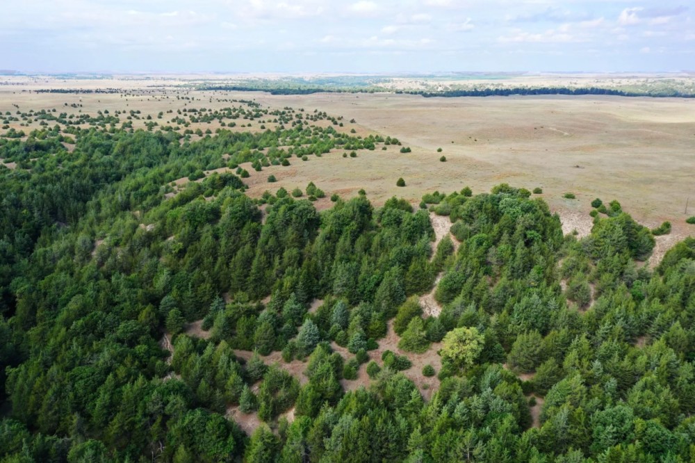 Tinkham Ranch 8211 Johnstown Nebraska featured image