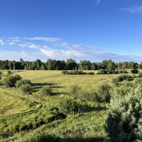 Brazos 23 Farm