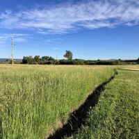 Brazos 23 Farm images 2