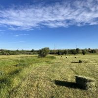 Brazos 23 Farm images 4