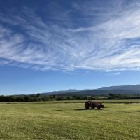 Brazos 23 Farm images 5