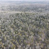 Secluded OFF-GRID Hunting Acreage in Ozark County images 3