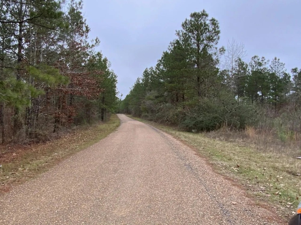 Posey Webb Camp Road - Tract A LaSalle Parish 59.96 Acres - featured image