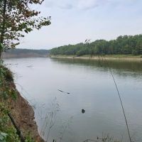 White River - Quarter images 2