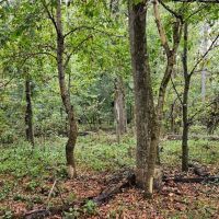 White River - Quarter images 5