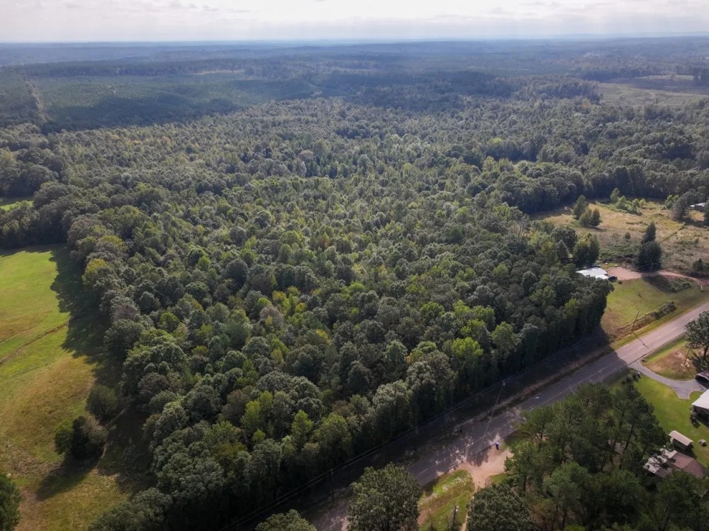 Calhoun County - 44 Acres - County Rd 331 featured image